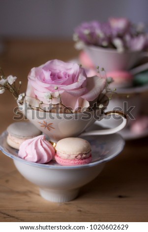pastel macaroons in the tea cup with pnk rose- romantic birthday set