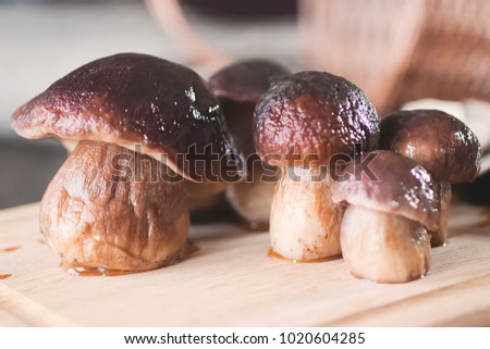 Frozen boletus mushrooms on wooden background. White mushrooms. Soft focus.