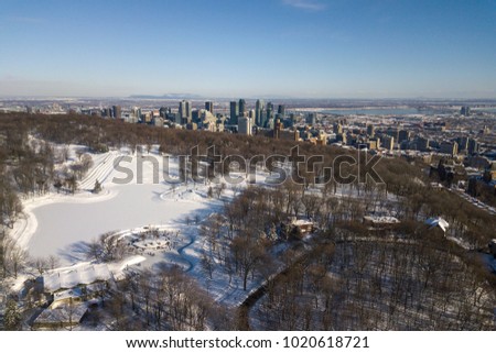 Mont Royal in Montreal winter cityscape