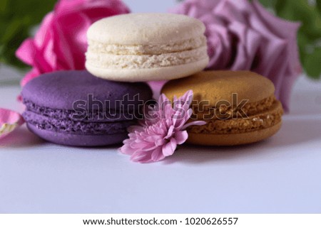 Bright food photography of macroons on white background, photos of various macarons, shot from above on a vibrant blue background texture, with crumbs and copyspace