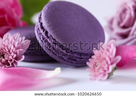 Bright food photography of macroons on white background, photos of various macarons, shot from above on a vibrant blue background texture, with crumbs and copyspace