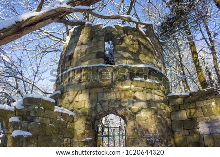 Ruins of the unknown ancient castle or tower in winter forest