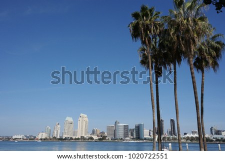 Coronado Palm Trees with San Diego skyline. A lush set of tropical Palm Trees from Coronado Island with the San Diego skyline in the background.