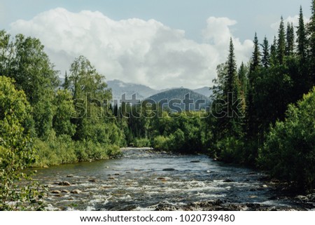 Fast mountain river in rapid flow in the green forest