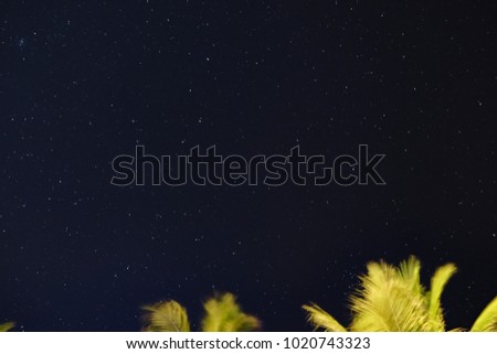 Leo Constellation on the Sky
