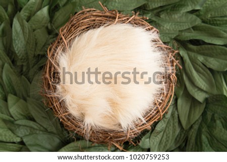 Green Wreath Digital Newborn Backdrop Royalty-Free Stock Photo #1020759253