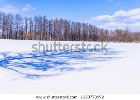 snow landscape in hokkaido