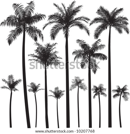 Palm tree silhouettes, clip art style