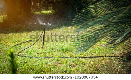 spray of water with green garden,water drop