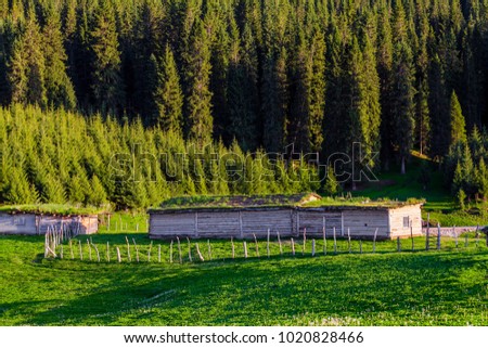 Prairie log cabin