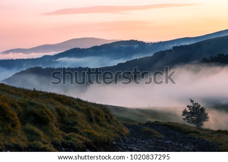 awesome foggy sunrise picture in summer mountains, majestic wallpaper background scene, location Ukraine, east Europe, Carpathian mountains