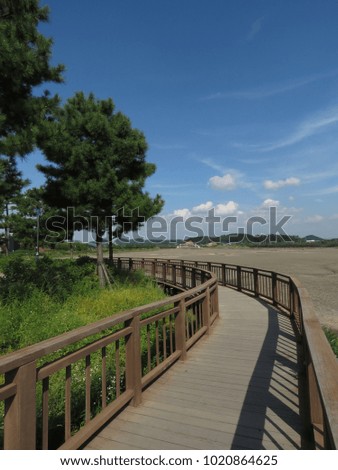 walkway in the park, against blue autumn sky, spacious and faraway mood