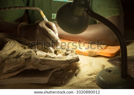African Paleontologist at Work Royalty-Free Stock Photo #1020880012