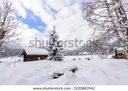 Snow landscapes in Alps