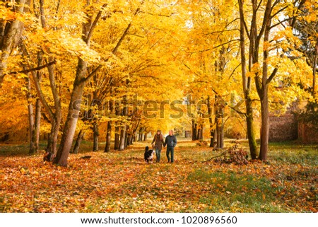 amily guy and a girl walking in autumn woods with the dog