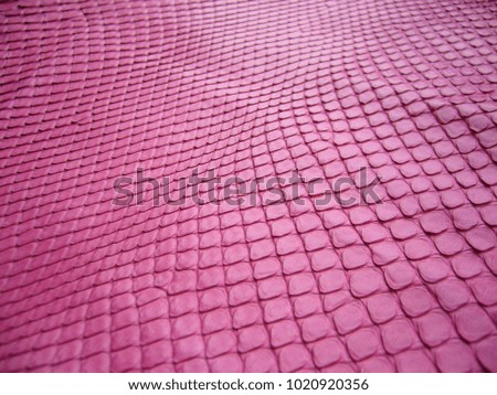 Pink skin of a snake. Texture of natural leather. Pink background.