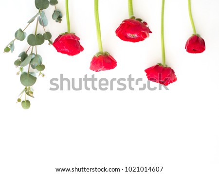 The Red flowers Photography with white background