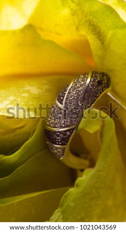 silver earring in yellow rose