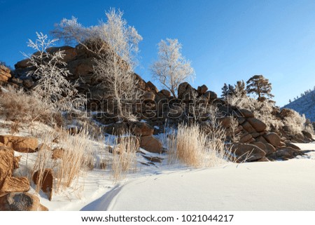 Birches and pines growing on rocks in winter.
Hoarfrost on the tree.
Frost is the coating or deposit of ice that may form in humid air in cold conditions, usually overnight.
