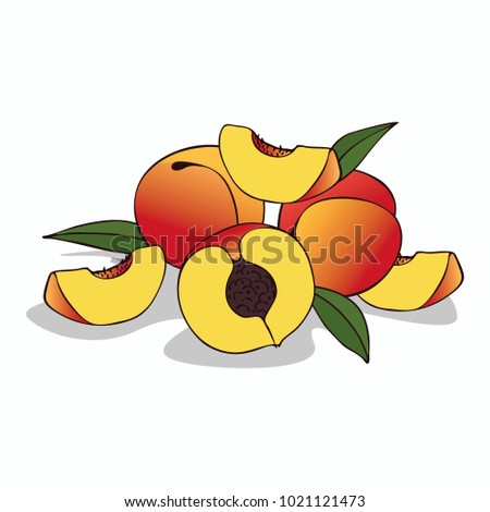 Isolate ripe peach fruit on white background. Close up clipart with shadow in flat realistic cartoon style. Hand drawn icon. Raster version of illustration