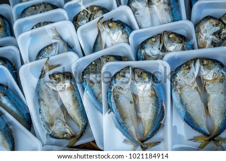 Short Mackerel (Rastrelliger brachysoma) also known as Shortbodied Mackerel steamed and salted with head bent downwards, sale in foam tray at food market.
