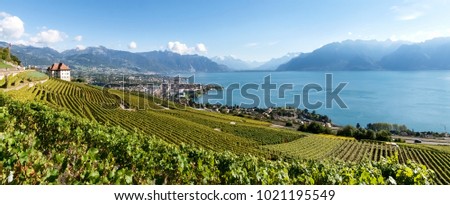 Lavaux, Switzerland: Landscape of Lavaux Vineyard Terrace hiking trail, Lake Geneva and Swiss mountains Royalty-Free Stock Photo #1021195549