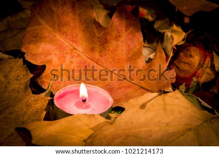 Lighted candle on the background of a large number of old and wilted leaves