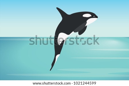 Whale in water