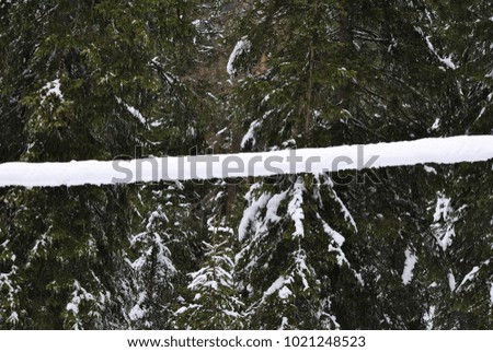 light wires covered with snow
