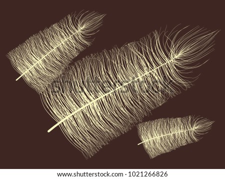 Fluff. Beautiful Hand Drawn Feathers. Angel Feathers Isolated. Fluff for Wallpaper, Illustration, Carnival, Masquerade, Invitation, Paper, Textile. Decoration Element for Your Design. Beige Fluff.