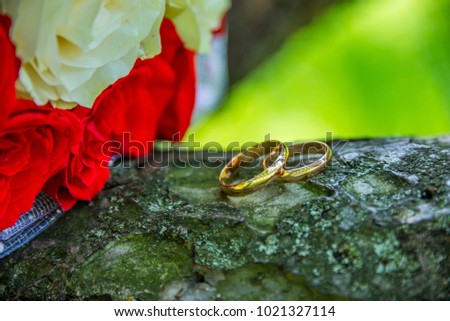 two rings in the background, on a tree with flowers