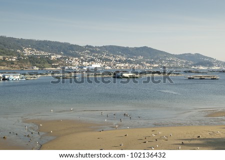 Vigo Ria. Over the sea, some bateas (raft culture of mussels). Picture taken in Ria of Vigo, Galicia, Spain
