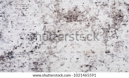 concrete texture or background