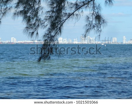 Miami, Florida skyline 2011