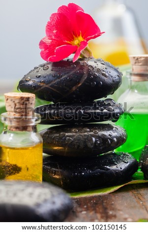 Balancing black massage stones in a spa environment with bottles of aromatherapy essential oil and a red flower