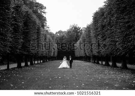 Black and white photo. Wedding in the castle. Stylish and beautiful. Princess's dress. Lush white dress and veil. The groom in a black suit. A couple is walking in the park on the castle grounds.