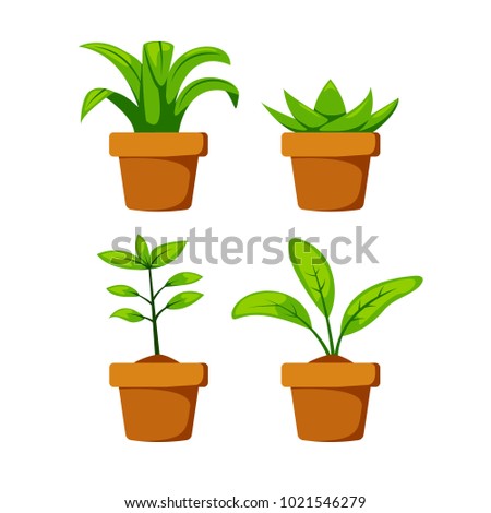 Set home or indoor plant on pot vector object element decoration for illustration project