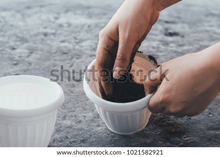 Women's  hands sow seeds in pots. The process of sowing in pots.