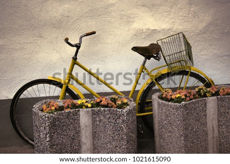 Cycling life. Bicycle for walks and trips to store near door of house. Always at hand instead of car. For healthy lifestyle. Original stone flower beds