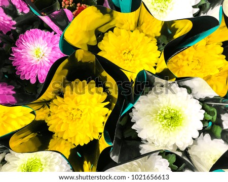 Bouquets of flowers in supermarket, top view. Studio Photo
