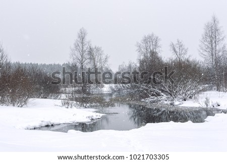 Snowfall and trees covered with snow in winter near the lake, Izvara, Russia