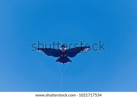 Colourful kite image