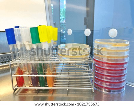 culture medium / biochem test