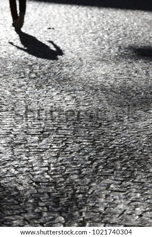 View of shadows of human persons reflected on a paved street. Long silhouettes of the people visible on the pavement, with the feet and legs. Dark long shapes on the ground. Urban abstract picture. 