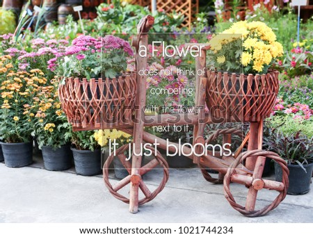 Inspirational positive quote “ A flower does not think of competing with the flower next to it. It just blooms.” with bicycle design flowerpot.