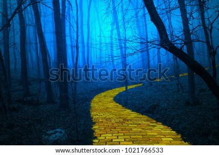 The yellow brick road leading through a spooky foggy forest Royalty-Free Stock Photo #1021766533