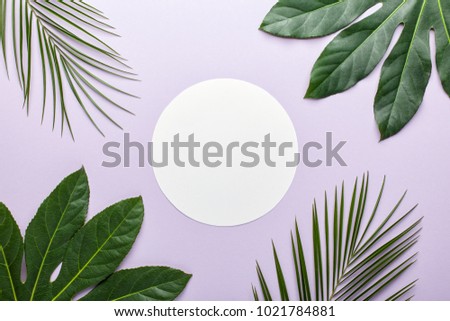 Green tropical leaves on white background. Flat lay, top view.