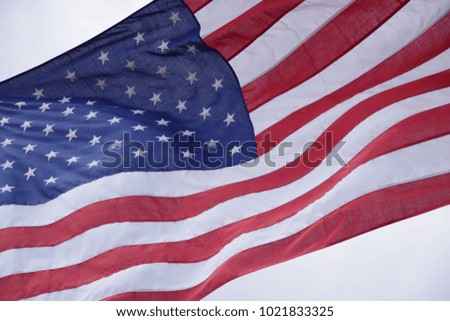 Flag of the United States of America-American flag