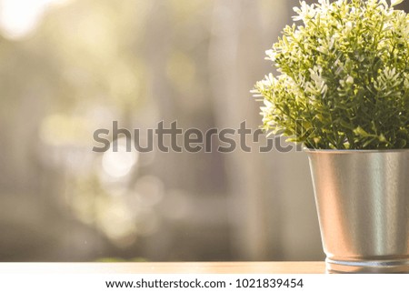 Blurred spring morning background with the green plant in the silver gray basket up front on the right side. Beautiful background for the flyer, banner or any other kind of advertisement