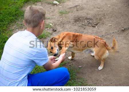 A small and clever red dog gives the paw to the boy. Royalty-Free Stock Photo #1021853059